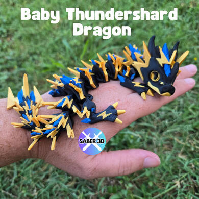 Baby Thundershard Dragon