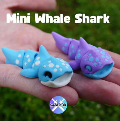 Whale Shark Whale Shark