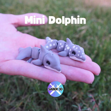 Dolphin Dolphin