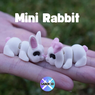 Rabbit