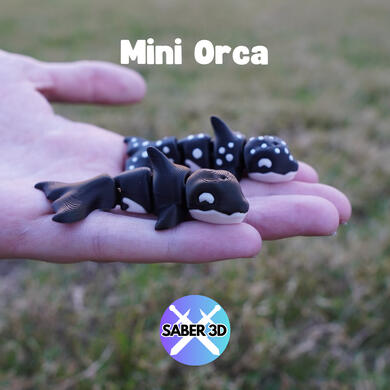 Orca Orca