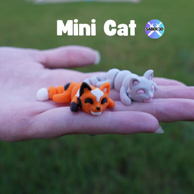 Cat Cat