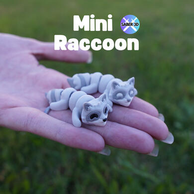 Raccoon