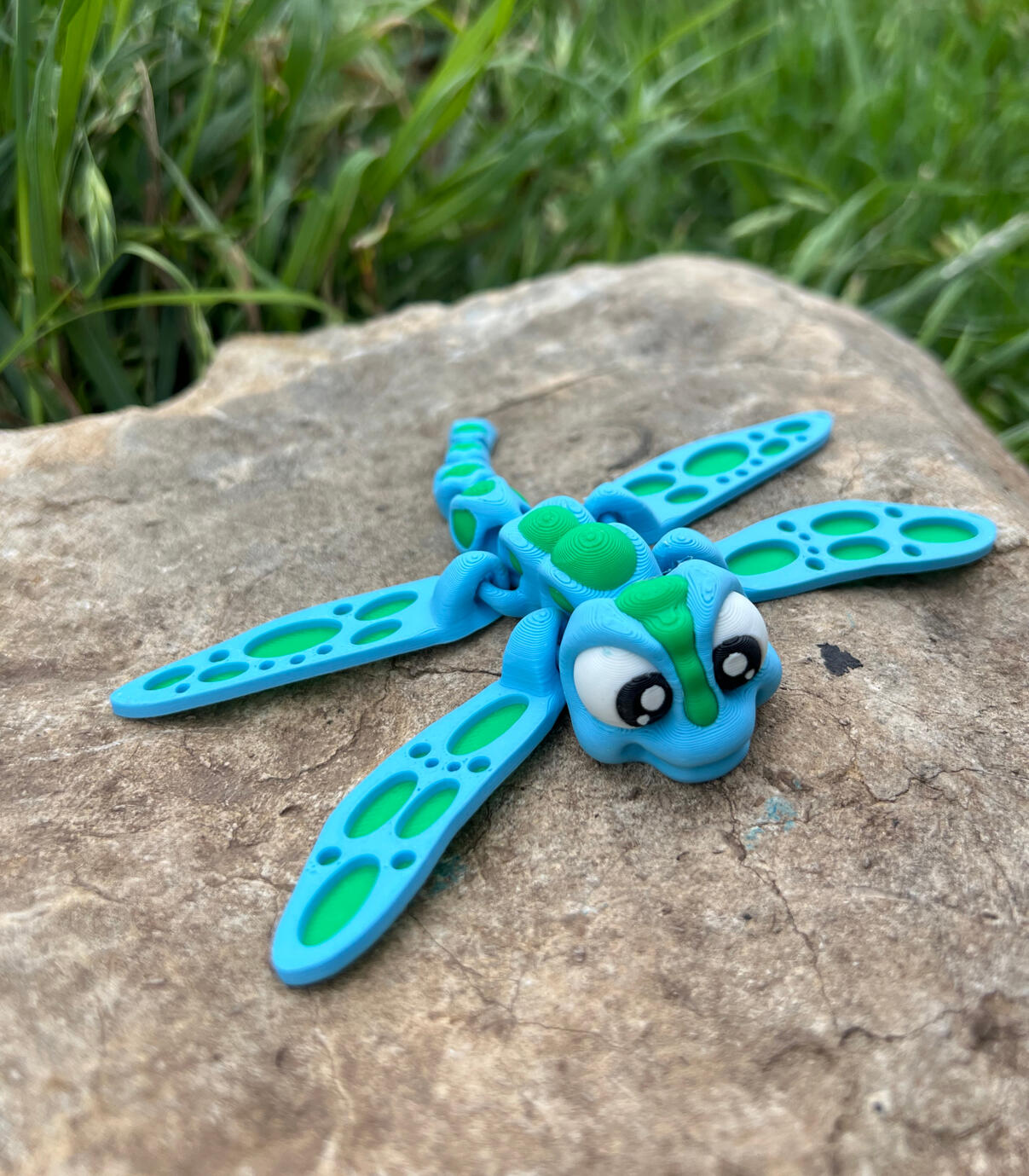 Flexi Dragonfly