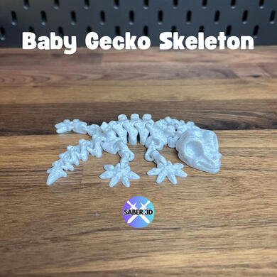 Baby Gecko Skeleton