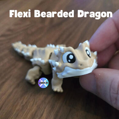 Bearded Dragon Bearded Dragon