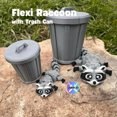 Raccoon