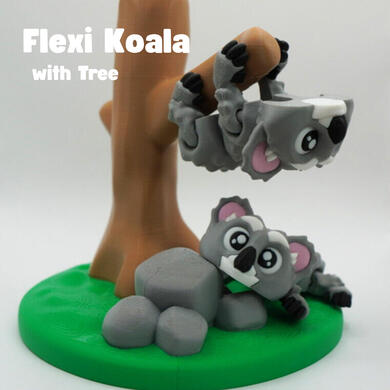 Koala